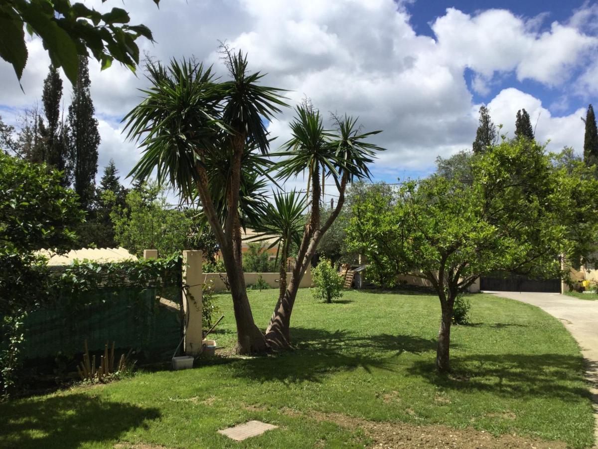 Casa Evi Corfu 1 Apartman Pótamosz Kültér fotó